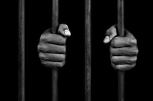 Court Jails Pragyia Rider Three Months for Biting Community Police Assistant