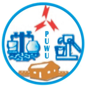 PUWU postpones demonstration against private sector role in ECG