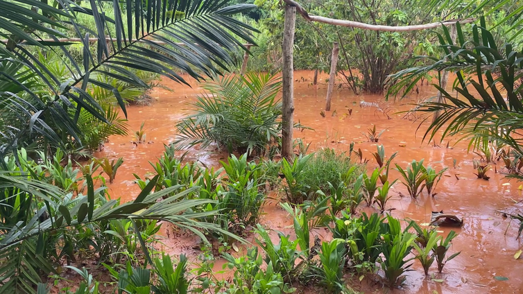 Galamsey activities divert Mankran Stream, destroy farms and raise flooding fears in Okroase